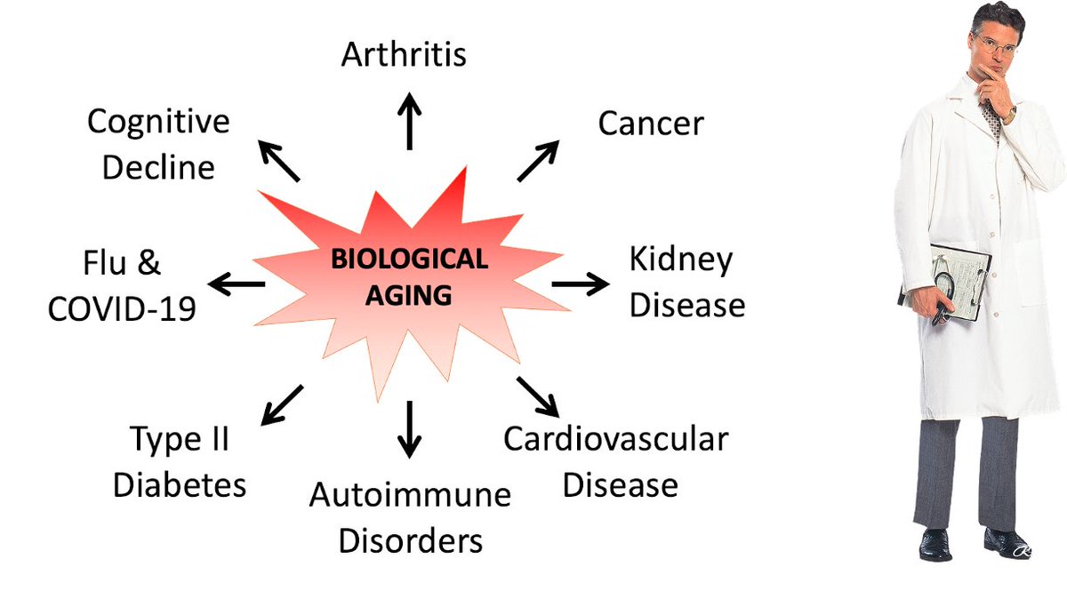 The disease care model is not sustainable. 

~90% of healthcare $ are spent on chronic diseases of aging. That number is increasing. When does it break? 

We should prioritize biological aging and develop therapies that keep people healthy instead of keeping them sick