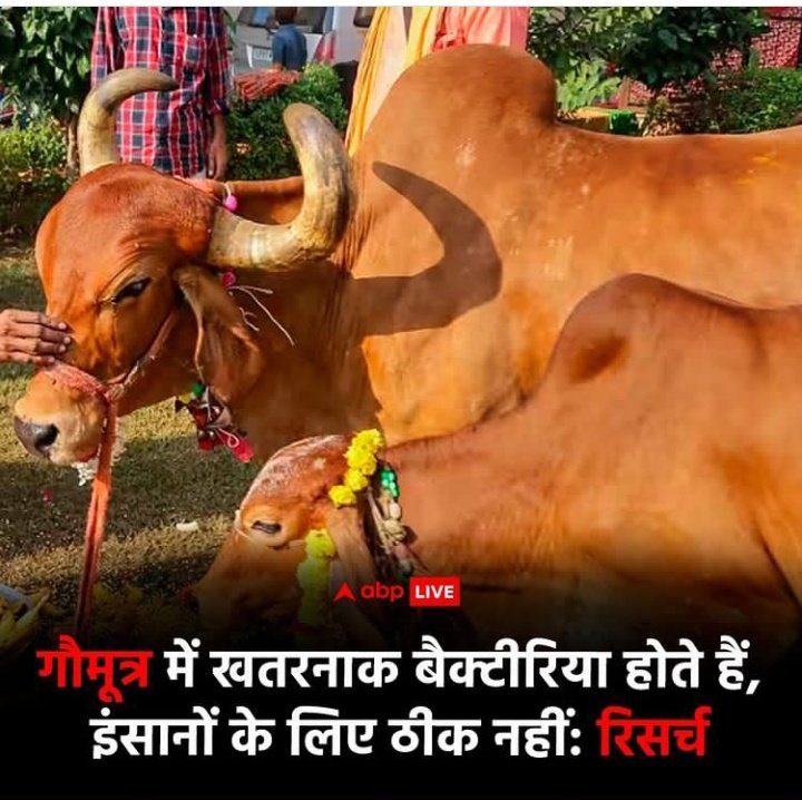 Ad__Kumar's tweet photo. अब क्या उन सब पर सख्त कठोर कानूनी कार्रवाई नहीं होनी चाहिए। जो गोमूत्र बेच कर अनेकों जिंदगिओ से खेल। कर करोड़ो रुपया ऐंठे है। https://t.co/rAcTGfnJuy