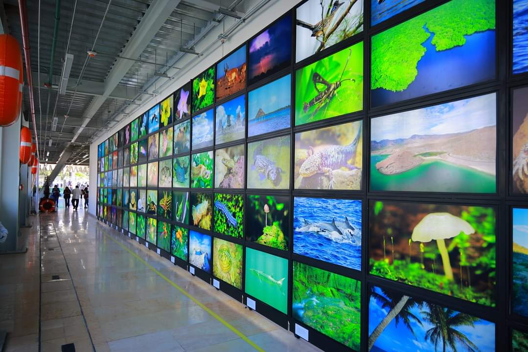 ¡El Barco Utopía en Iztapalapa ya fue inaugurado! 🛳🤩

Un nuevo museo y un acuario virtual interactivo.

Cuenta con Escuelas de Diseño; un Simulador de Navegación; así como el 1er. Museo del Cambio Climático en la #CDMX.

En Periférico Oriente y Eje 6 Sur, Iztapalapa