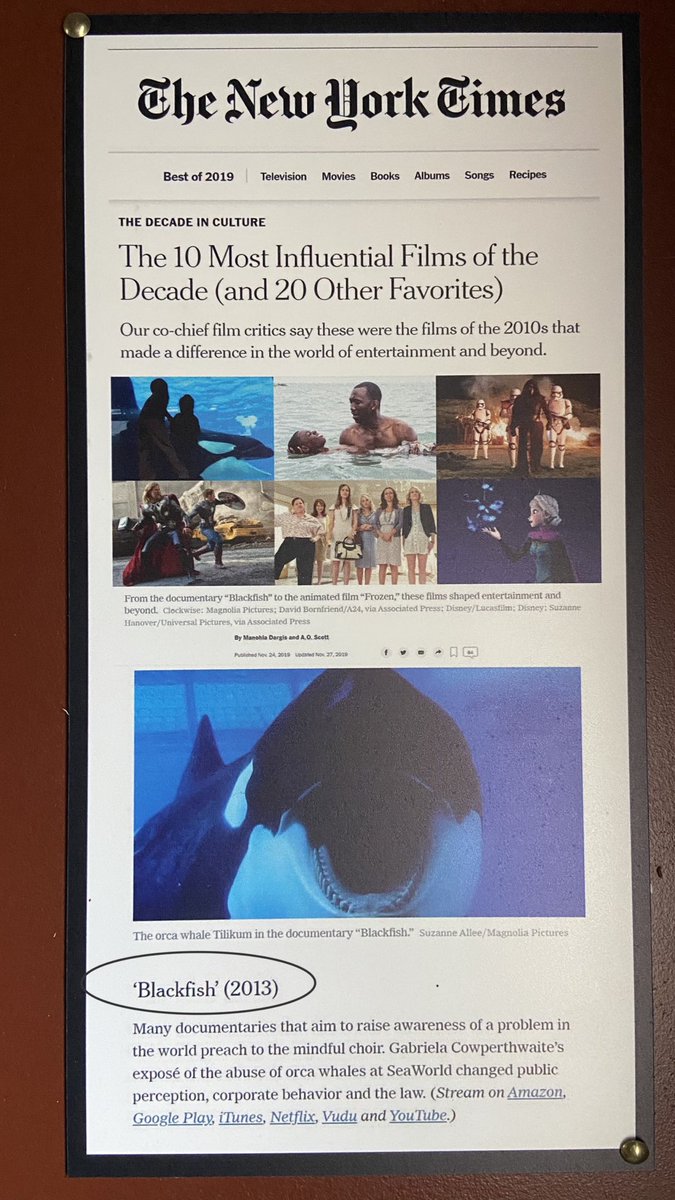 jeffrey_ventre's tweet photo. Honored 2B a cast member w ⁦@Sam10k⁩ et al in one of the past decade’s most influential movies, per the NY Times. We’ll be celebrating #Blackfish at 10 at #Superpod8 - along with Ken’s life. #FreeLolita - Join us here:

https://t.co/2Lq1OpOEPt #Toki #CaptivityKills ⁦⁦ https://t.co/N8a9lQVEEs