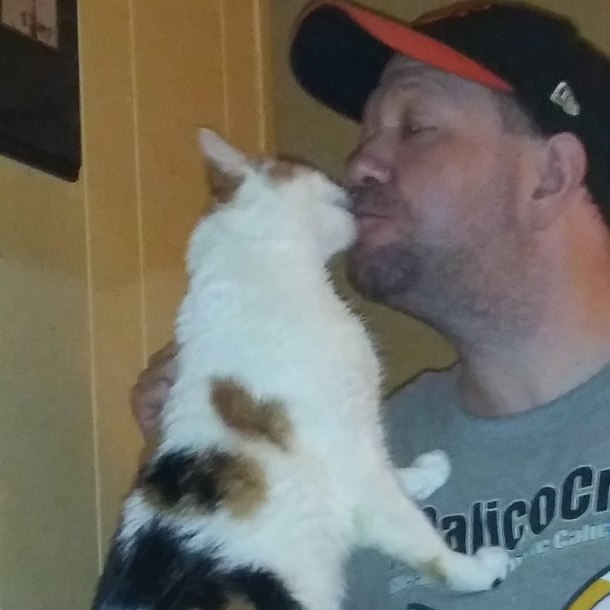 Happy #Caturday!!!

There are few things better than being a #catdad. The bonding time spent w/your furchild is priceless. Moo doesn't like to be held, but she shows love in other ways & we're still best friends.

Reply w/a cute pic & spread a smile.

#CalicoCrew #CatsOfTwitter