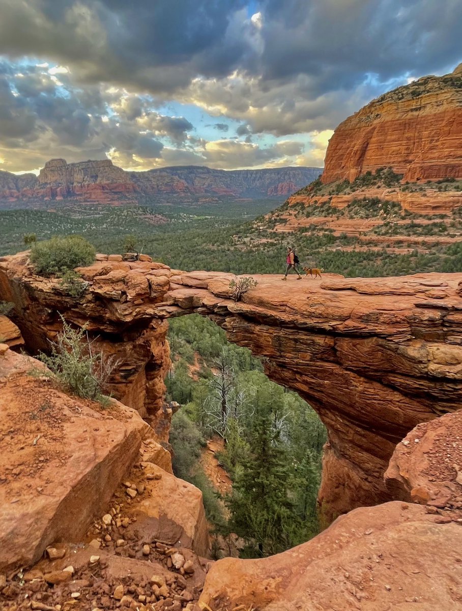 sherwithme2's tweet photo. 🏔️🌳🧗‍♀️🐕✨💫!I absolutely love 💗 this candid shot 📸 of walking 🚶‍♂️🐕across “The Bridge Between Two Worlds” 🌎🌎 with my favorite girl! ✨🐕✨Hangin with my Dingo Doggy in the desert 🏜️ on the sacred land, on our way to “The Bridge 🌁 Between 2Worlds”🌎🌎
#sedona #thedevilsbridge https://t.co/QuAXeeyPY3