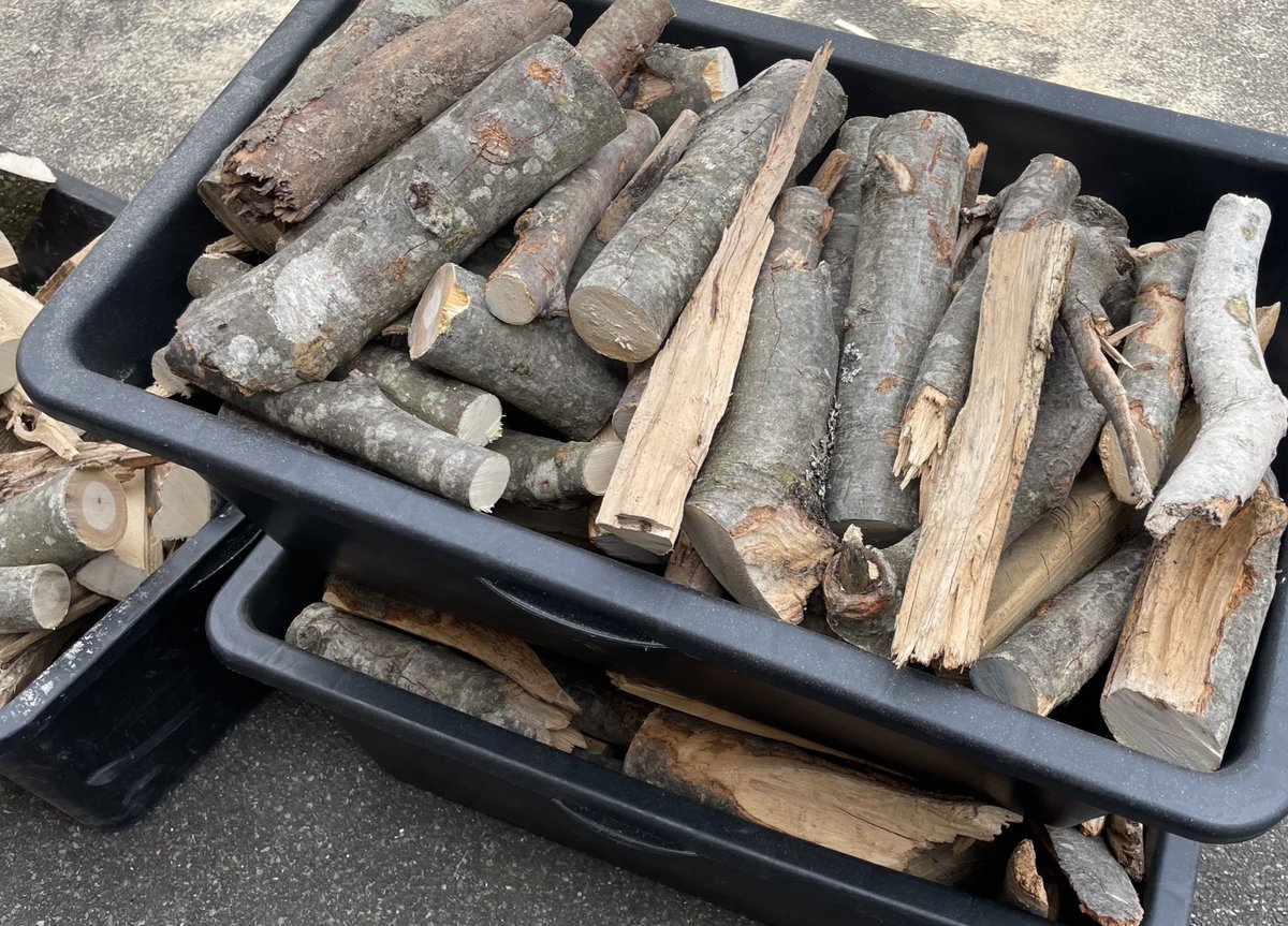 今日は再来年の為に薪を切ったよん🔥
写真の何倍も切った😂

そこら辺の森のいらない薪を貰ってるから、不揃いで切るの大変😂 https://t.co/xkSrj5JrR6