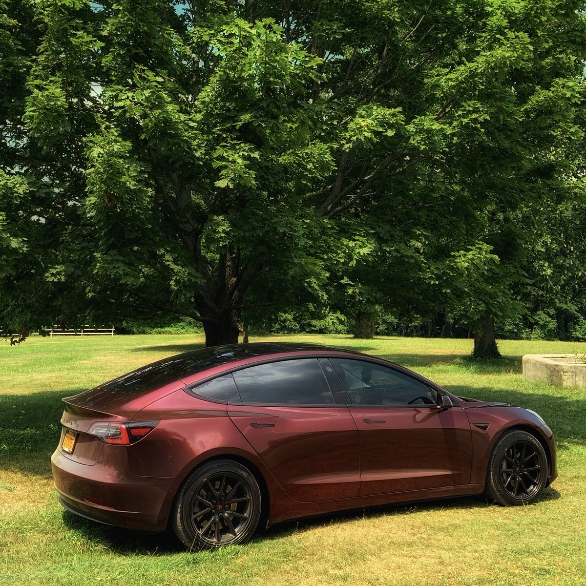 LouieTesla's tweet photo. Tesla Earth Day Contest 2023 https://t.co/vhbqzN6J3C