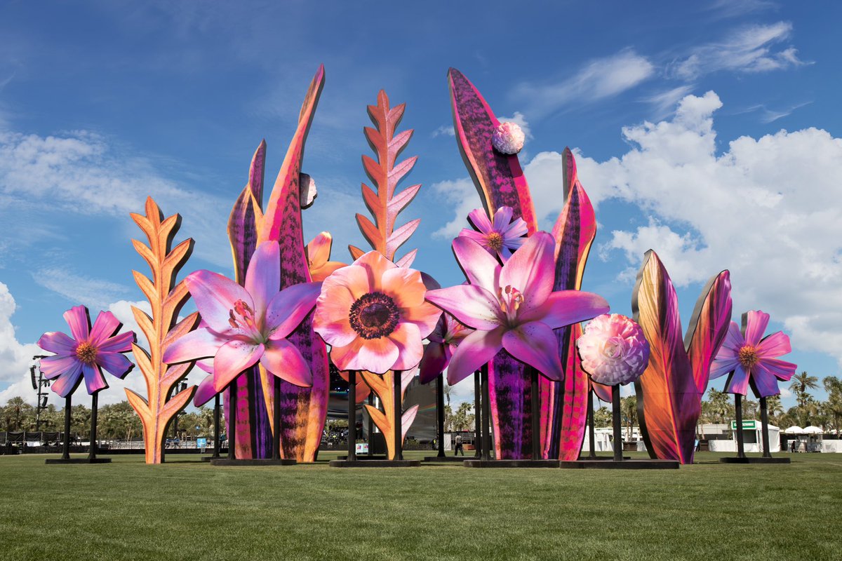 Maggie West tweet media