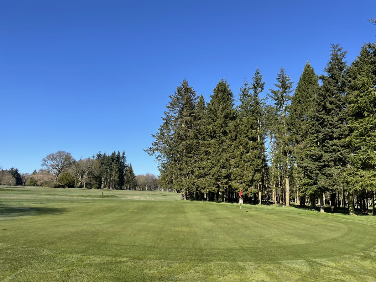 DrewWighton's tweet photo. @JamieCa45219451 @ciaran_boyle7 @downfieldgolf1 Picture of greens today 👍🏻 https://t.co/RSoUVLGAmp