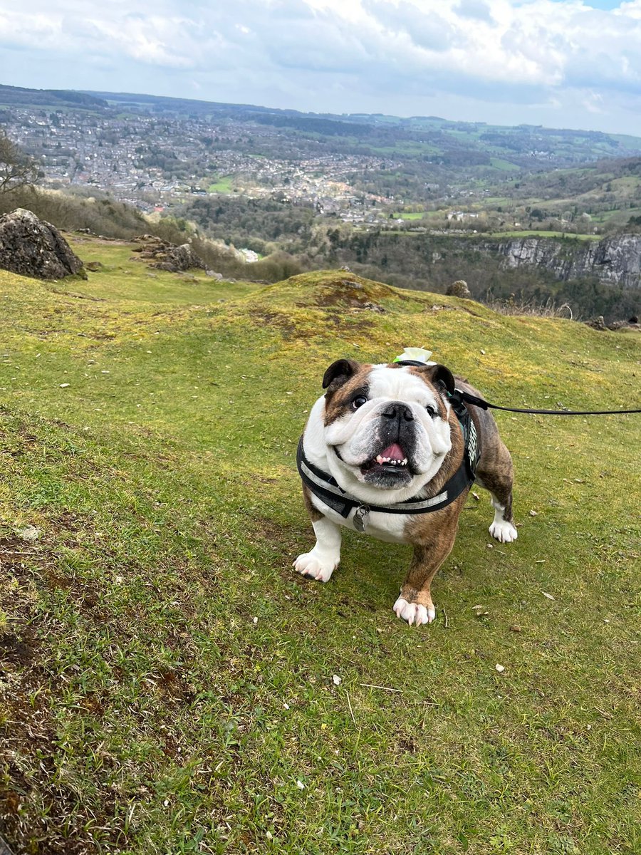 Jennybean90's tweet photo. Enjoying a long weekend exploring Peak District sights with this little pooch 🐶 🐾 #heightsofabraham https://t.co/f6HMqmk4Jd
