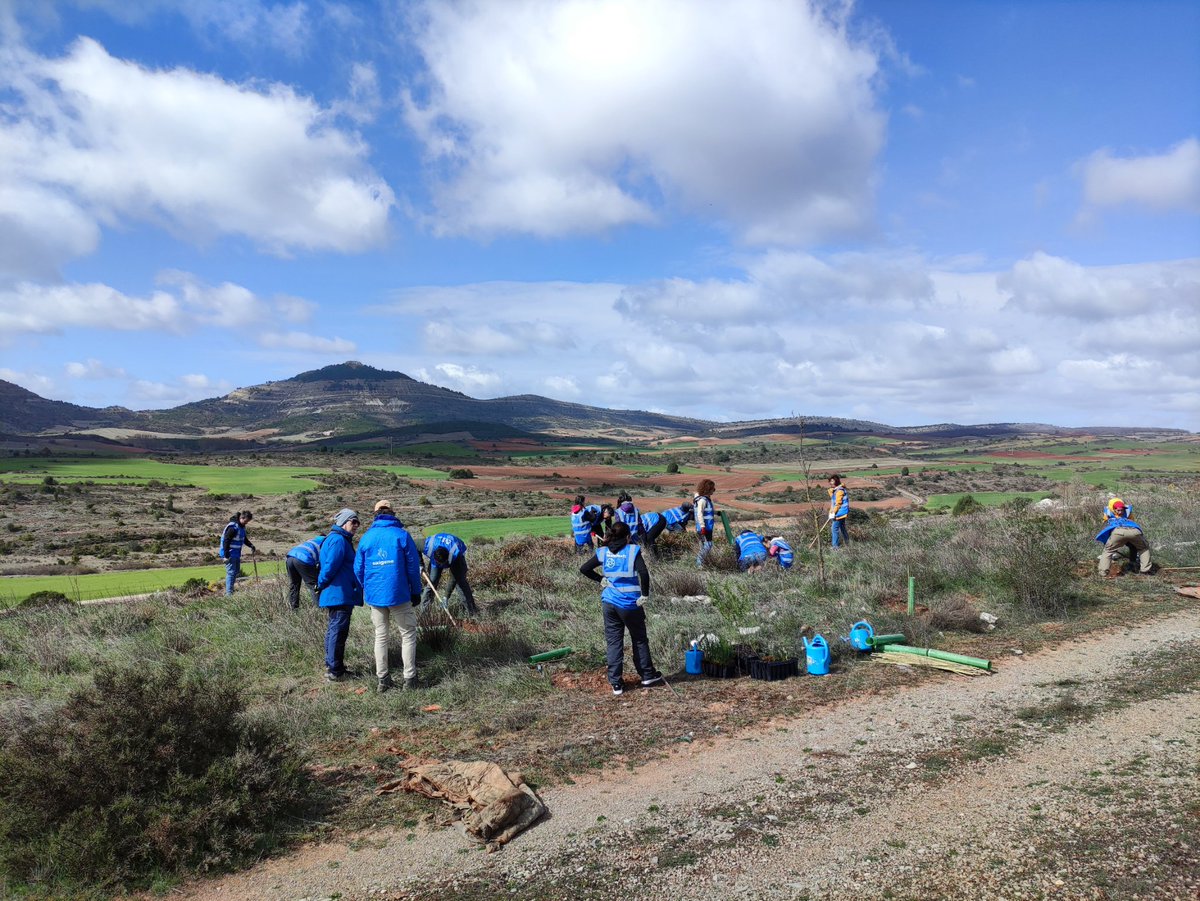 fundacionO2's tweet photo. Con las familias de #Teczone Burgos hemos mejorado una escombrera, aprendido sobre dinosaurios, visigodos y Castilla, y contribuido un poco a la economía rural en Quintanilla de las Viñas. Nos ha cundido mucho.
@UbuVerde
@Businirmaslejos
@KingspanES
#TierraLara https://t.co/SDrUOZDrfx