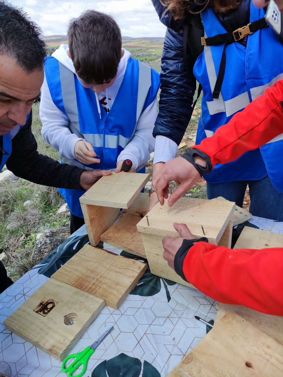fundacionO2's tweet photo. Con las familias de #Teczone Burgos hemos mejorado una escombrera, aprendido sobre dinosaurios, visigodos y Castilla, y contribuido un poco a la economía rural en Quintanilla de las Viñas. Nos ha cundido mucho.
@UbuVerde
@Businirmaslejos
@KingspanES
#TierraLara https://t.co/SDrUOZDrfx