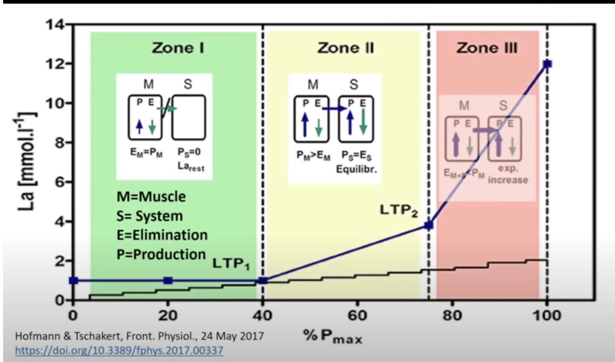 feelthebyrn1's tweet photo. Physiology Friends

How does the Norwegian Olympic Federation set the bottom and top of Zone 2 (5 Zone system)?

Picture is from video by @StephenSeiler 
https://t.co/0OW8RmIihQ

I see LT1 inside Zone 2, which would be consistent with ~2 mmol at the top of Zone 2. However, Stephen says "lactate turnpoint" when he explains the slide. 

In other slides (different presentation) the label is LTP1 and the values are lower than 2 mmol.

For three zone, @DrPhilipSkiba book places 1st dividing line at "LT", defined as 1mmol over baseline near VT1 (p20), and the next dividing line at CP or CS (p28, Figure 2.7). This lines up with the visual presentation in the video.

++

Qs

1 - is there a consensus on how to split the three zone system at the bottom? I understand it's a transition zone.

I read/hear LTP1, ~2 mmol, Baseline + 1 mmol and VT1

2 - when I look/listen to some other videos (Trainable Components & Endurance Training Process) I see/hear "Zone 2" ending at LTP1. I've also seen this treatment used in the UK by experienced coaches. 

Does Zone 2 (5 Zone System) end at LTP1 as a Nordic/UK convention?

++

Thanks All
