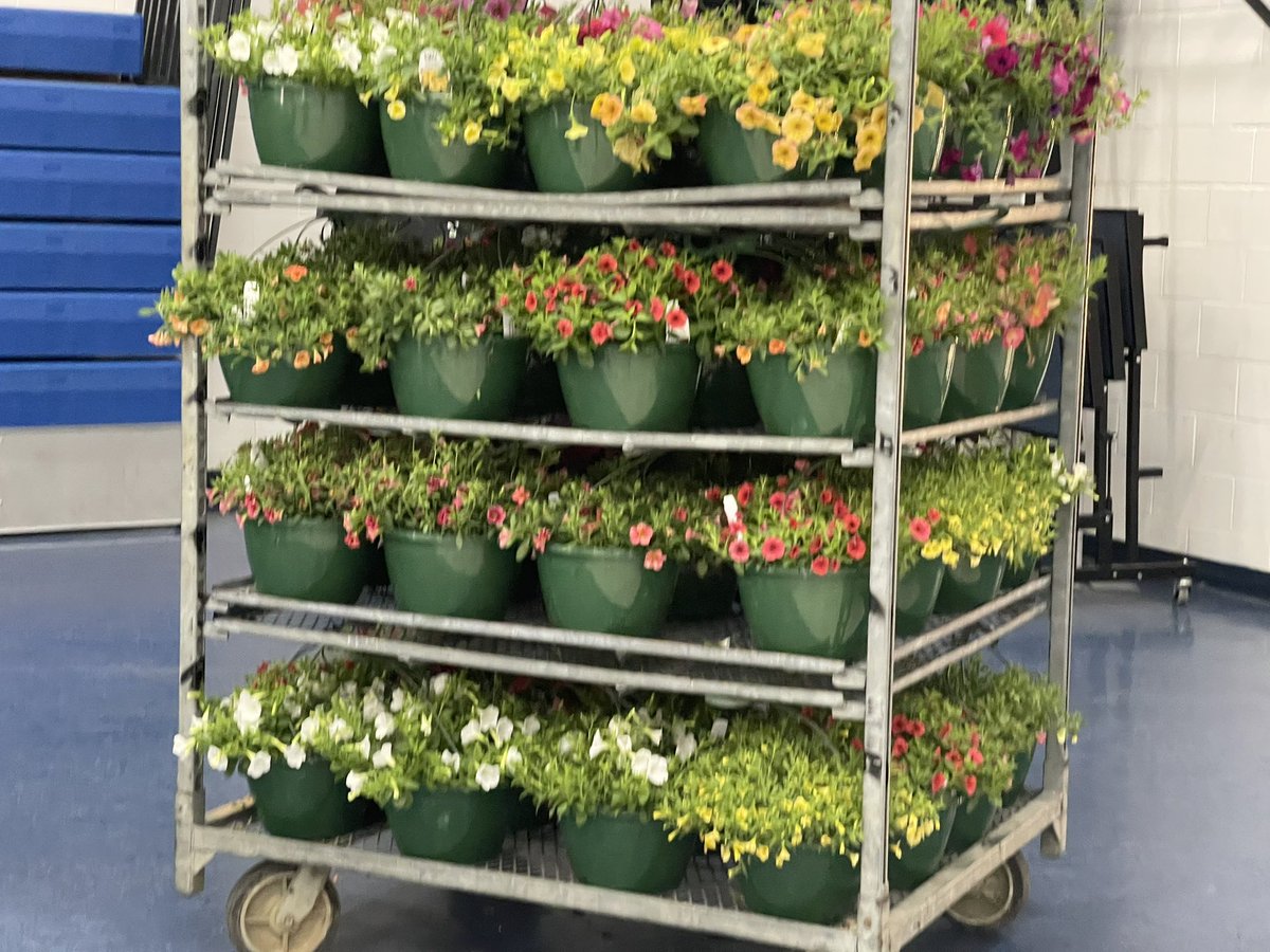 A Smith (@aritmetica_lady) on Twitter photo Fayette Cares Annual Plant Sale 2023 was a SUCCESS! <a href="/Supt_Hamlett/">Dr. Versie R. Hamlett</a> <a href="/OESrockSTARS/">Oakland Elementary School</a> <a href="/FayetteCares/">Fayette Cares</a> <a href="/toddk226/">Kelly Todd</a> <a href="/mrskbrownOES/">Katie Brown</a> <a href="/FCPSchoolsTN/">Fayette County Public Schools</a> Fayette Cares Annual Plant Sale 2023 was a SUCCESS! <a href="/Supt_Hamlett/">Dr. Versie R. Hamlett</a> <a href="/OESrockSTARS/">Oakland Elementary School</a> <a href="/FayetteCares/">Fayette Cares</a> <a href="/toddk226/">Kelly Todd</a> <a href="/mrskbrownOES/">Katie Brown</a> <a href="/FCPSchoolsTN/">Fayette County Public Schools</a>