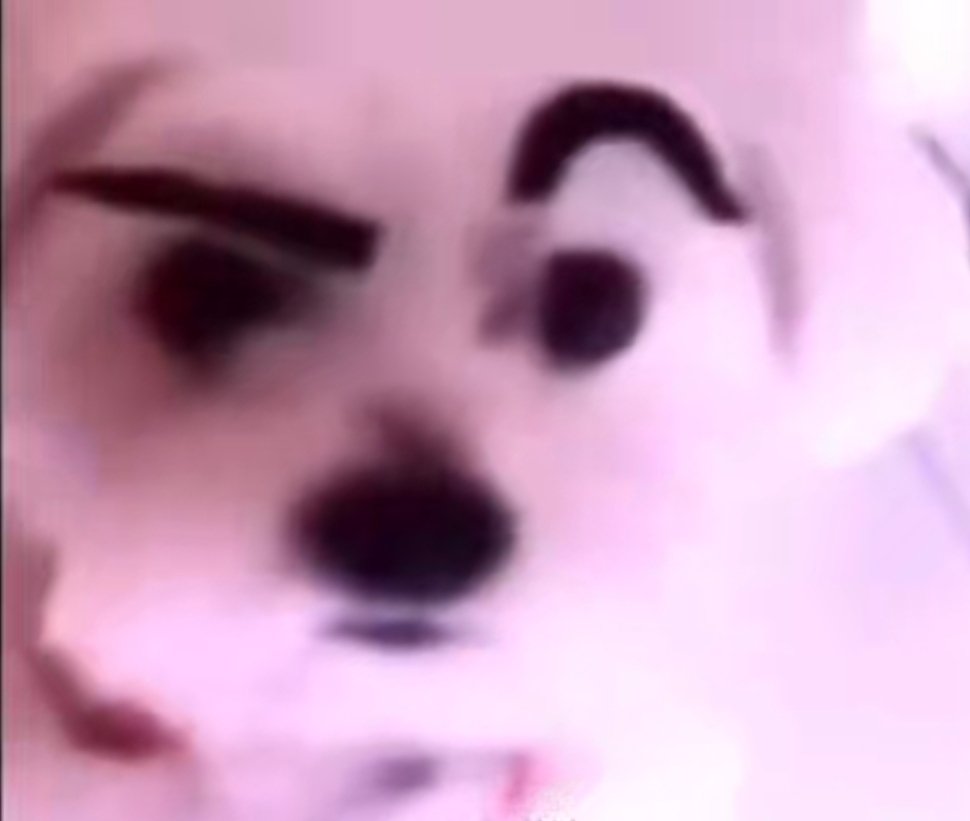 Magician tweet media