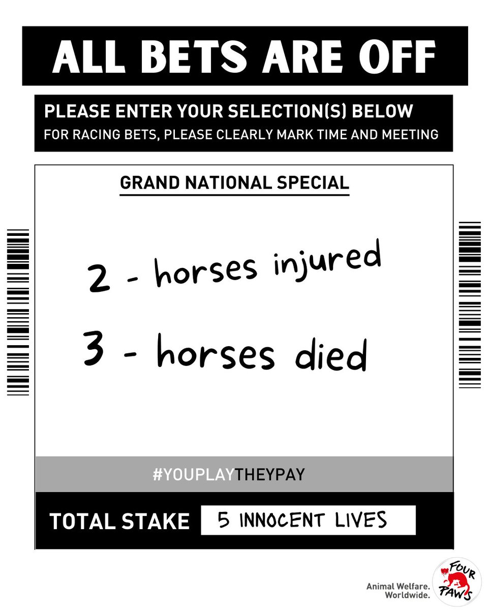 FOUR PAWS UK on Twitter "Over the last 3 days, three horses lost their