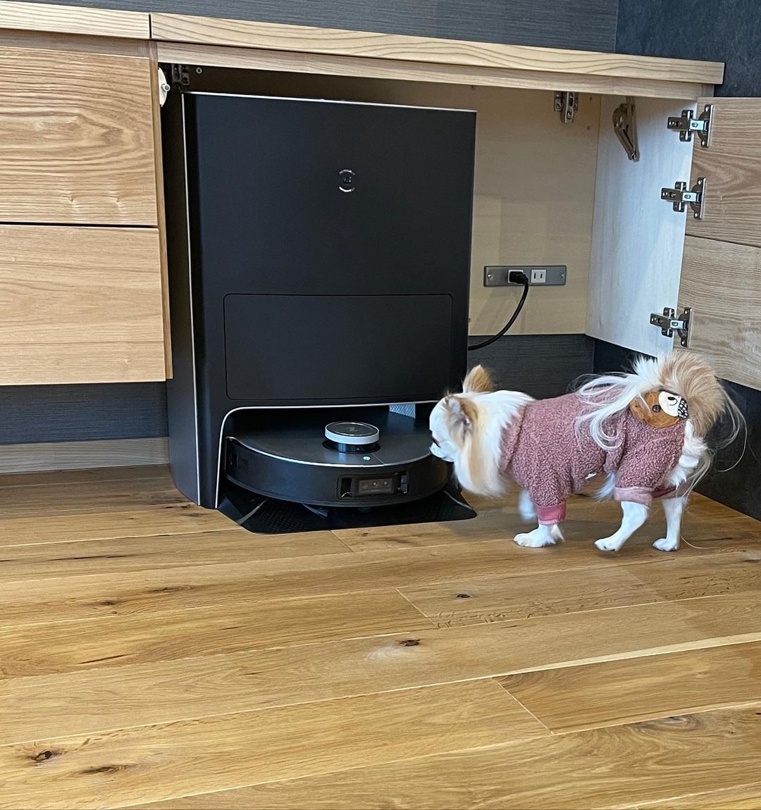 EcovacsUS's tweet image. We all know how hard it is to get a chihuahua&apos;s approval. We don&apos;t want to brag, but... we got it.

.

#ecovacs #ecovacsrobotics #roboticsforall #deebot #x1omni #vacuummop #roboticvacuum #roboticmop #vacuumandmop #smarthome #smarthomeaccessories #smarthomegadgets #smartcleaning