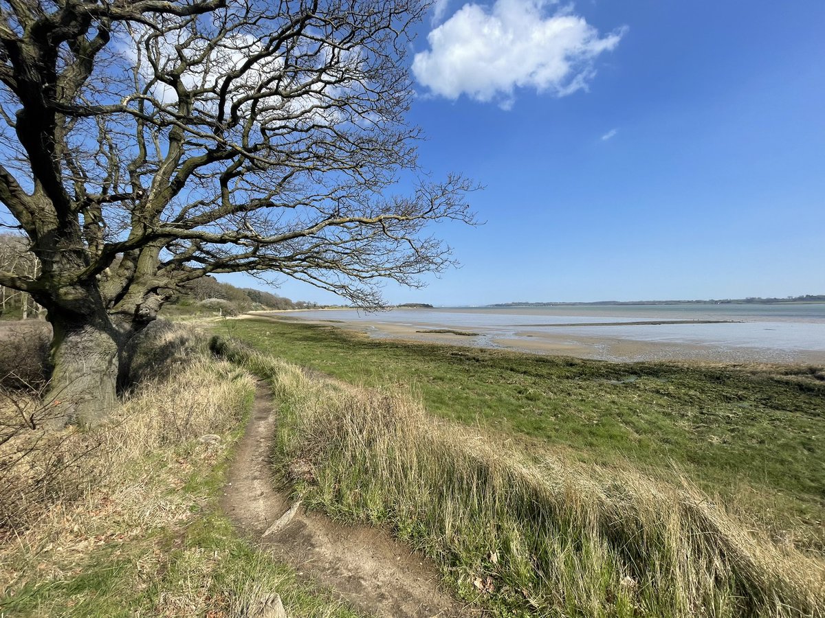 TimGardiner3's tweet photo. I love hills but this is paradise, saw virtually no one all afternoon, a deserted Stutton Ness #Suffolk on Stour Estuary - my backyard #luckygit https://t.co/izZ7gBecjO