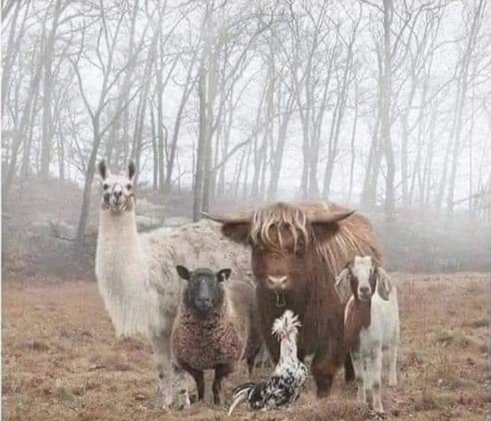 TheComicCave's tweet image. This is the gang I&apos;m joining. 
If ever there was a photo that represented my employees, this is it.
Thank you for holding down The Cave while I had fun at home with the flu.
Appreciate you guys.