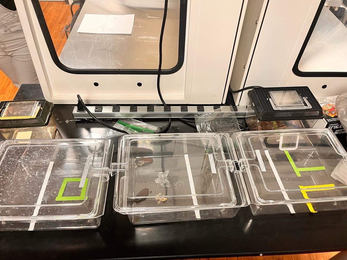 Ulises Ricoy 🇲🇽 🧠 🔬🎛 🪳 (@superolish) on Twitter photo Our #NEURON work has been accepted. 🧠 ✊🏼✊🏽✊🏿#Neurophysiology #Neuroscience #RaceMatters #PEER #CulturalResponsive
Journal of Undergraduate Neuroscience Education
The NEURON Program: Utilizing Low-Cost Neuroscience for Remote Education Outreach
<a href="/ricoy_labua/">Low Cost Neuroscience</a> Our #NEURON work has been accepted. 🧠 ✊🏼✊🏽✊🏿#Neurophysiology #Neuroscience #RaceMatters #PEER #CulturalResponsive
Journal of Undergraduate Neuroscience Education
The NEURON Program: Utilizing Low-Cost Neuroscience for Remote Education Outreach
<a href="/ricoy_labua/">Low Cost Neuroscience</a>
