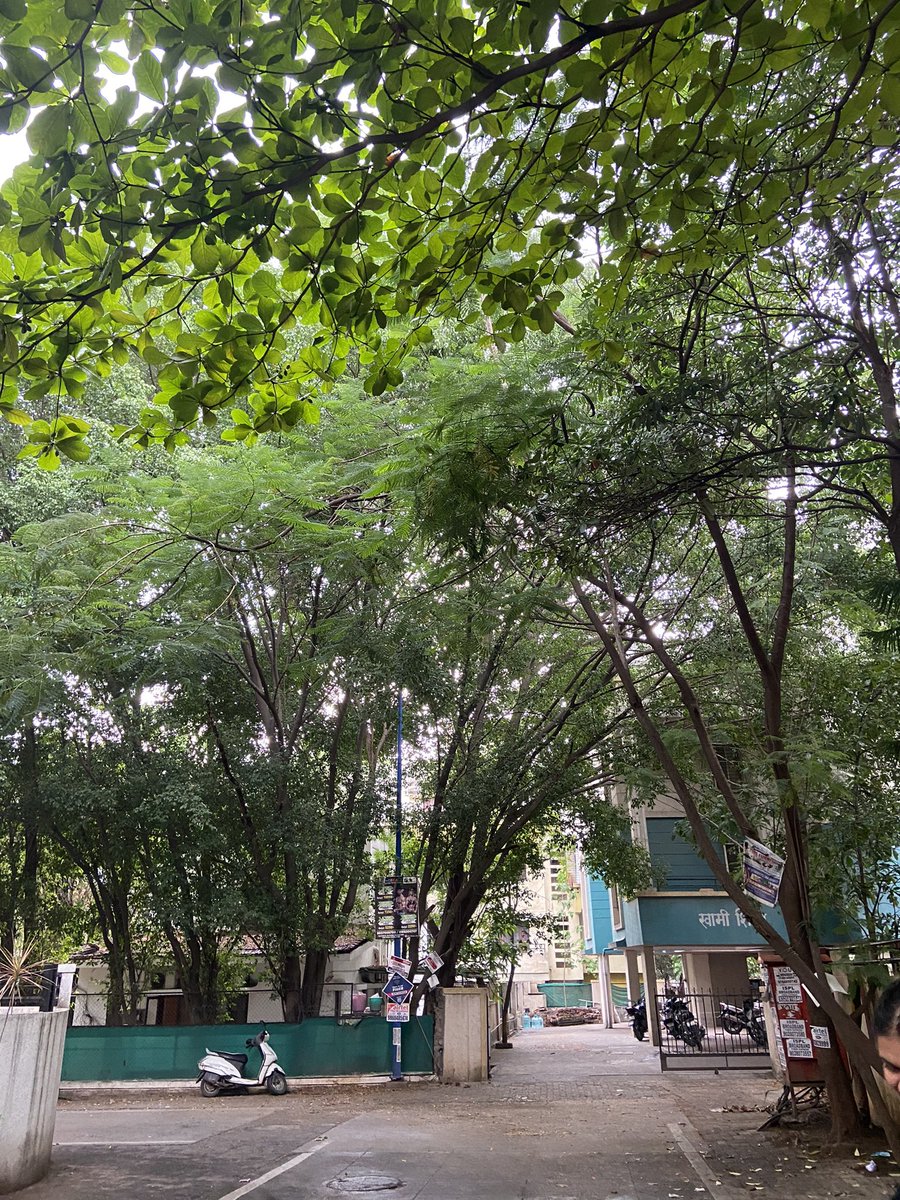 lavanya_maya's tweet photo. #Pune https://t.co/gdkf2StlVp