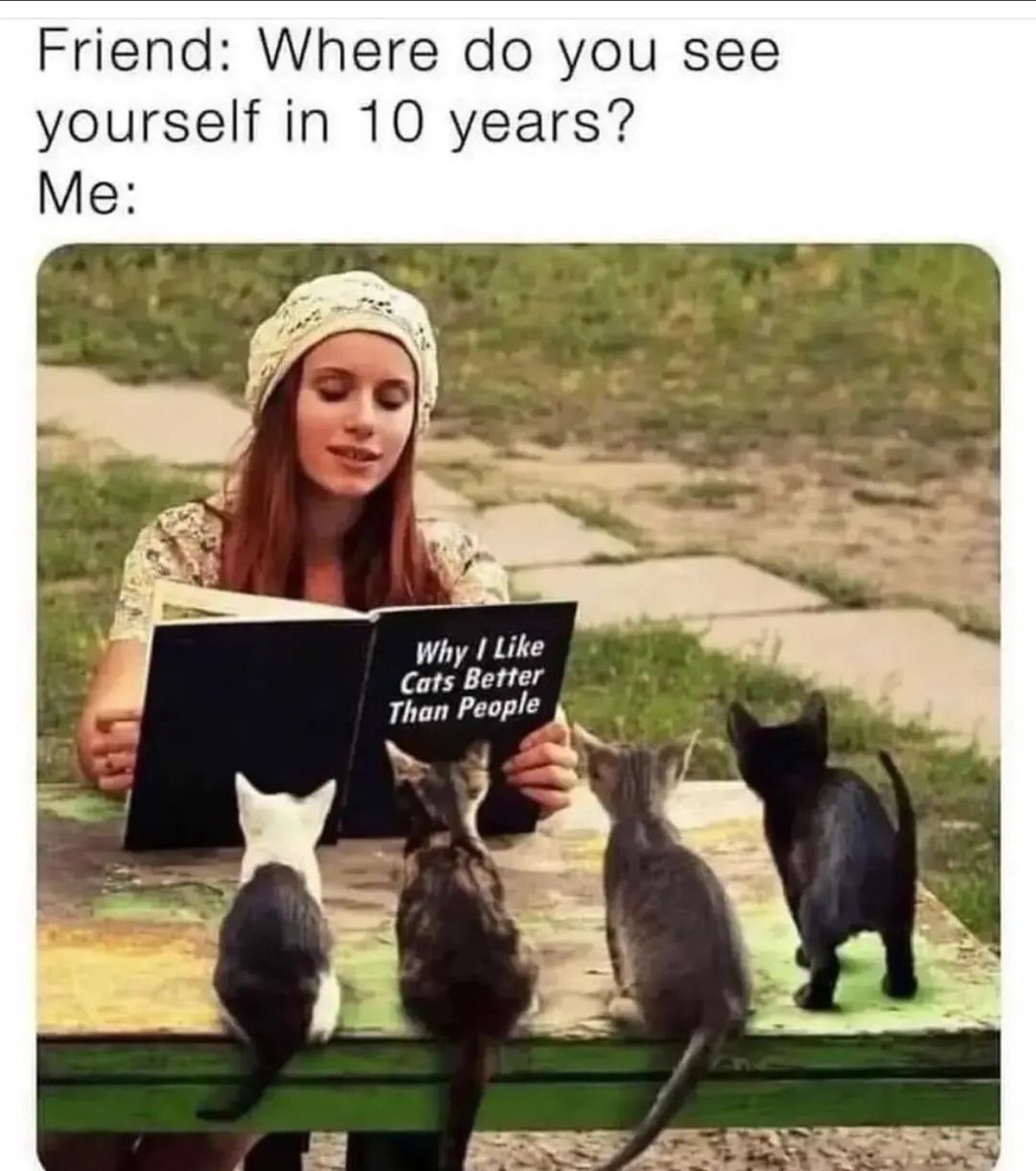 RastaTheAlien's tweet photo. Happy Caturday!!! Hope everyone has a great weekend!😻
 #meow #Caturday #SaturdayVibes #gamers #gaming #Memes #cats #CatsLover https://t.co/UuqFXUQkmY