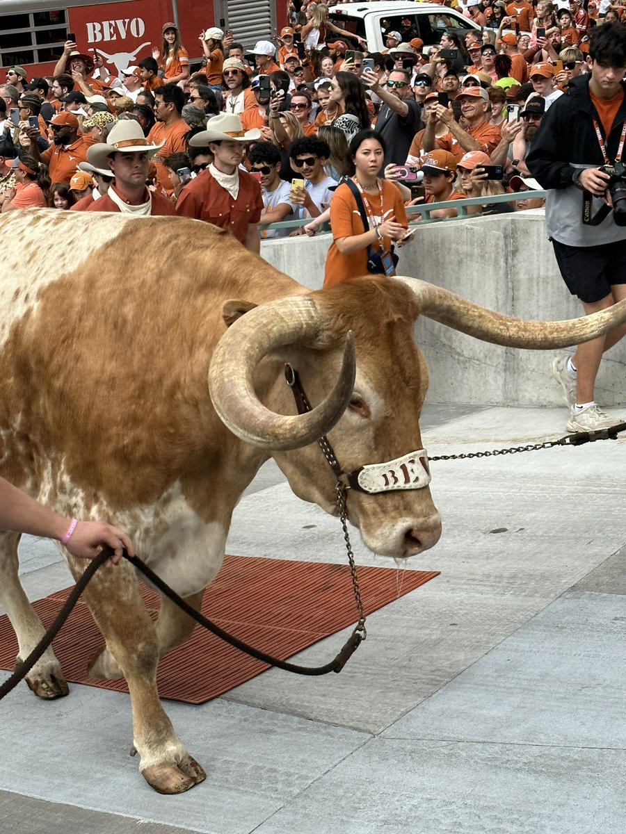 joehdz1995's tweet photo. Texas Orange Vs White Game! #Hookem #HookEm #Texas #Longhorns https://t.co/Qk5RoTjTcx