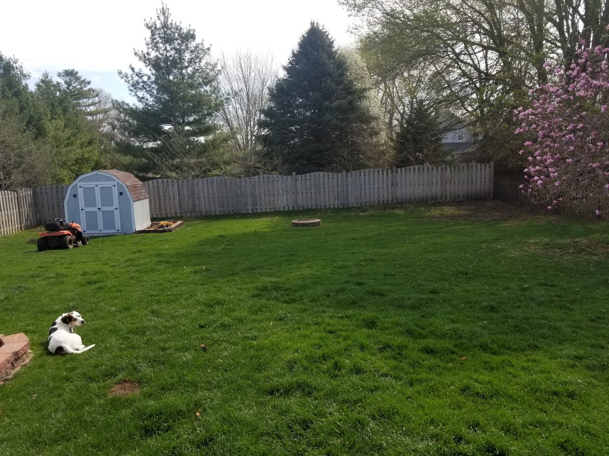 TUrbanski81's tweet image. I took this picture and said to myself, "Self, first now of the season. This is going to be fun" immediately after I realized this is my life at 42 🤦🏻‍♂️#Adulting #IUsedToBeCool