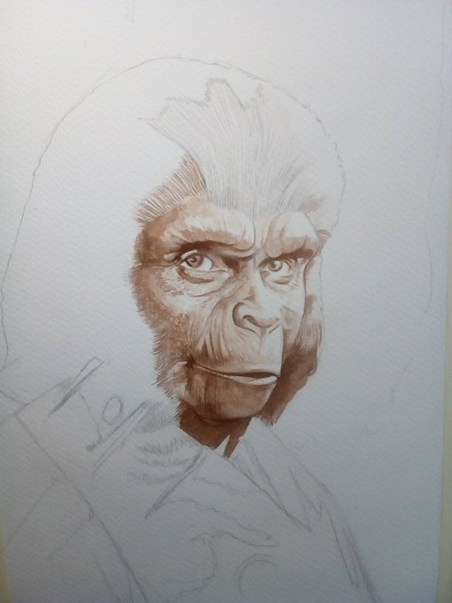 WIP tht will do for today i find this sort of art very relaxing #art #illustration #Makeupfx #fineart #inkwash #Theplanetoftheapes #Johnchambers #movies #classicmovies #bmovies #portraits #commissionsopen