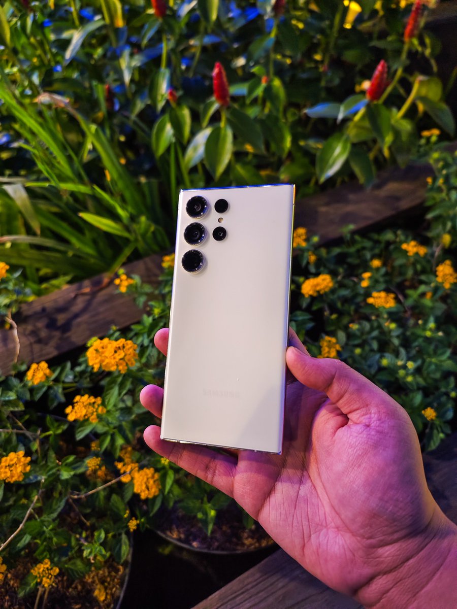 Berdan ActuallyAutistic 🔆🏳️‍🌈🏳️‍⚧️ on Twitter "doesn't have a