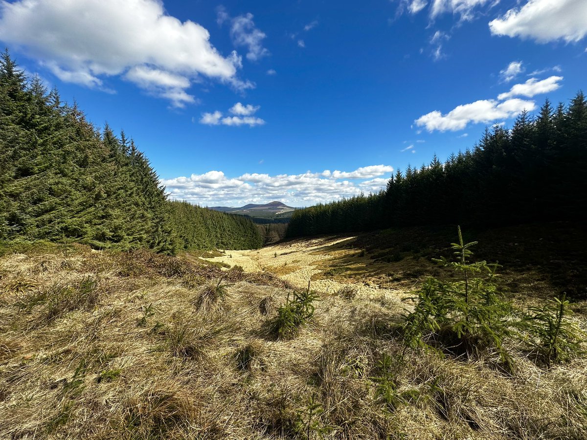 Buzzing that the weather is finally good enough to get out walking again… ☀️ #thecabrach