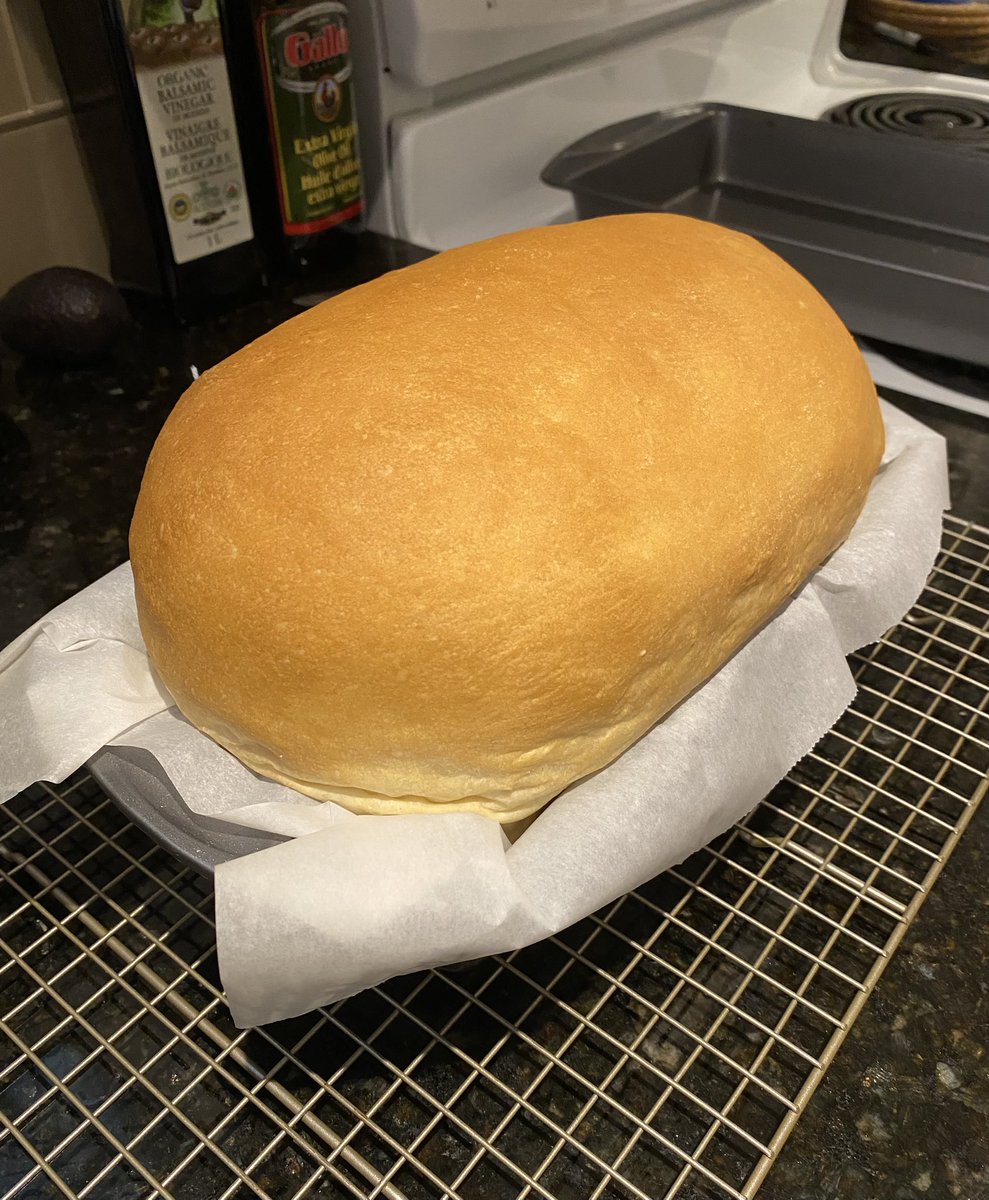 Asta_de_B's tweet photo. Well hello there #handsome ๐ฅฐ
Anyone else still out there baking bread?
#baking
#bread
#CarbsRule https://t.co/ozsL5H31Yy