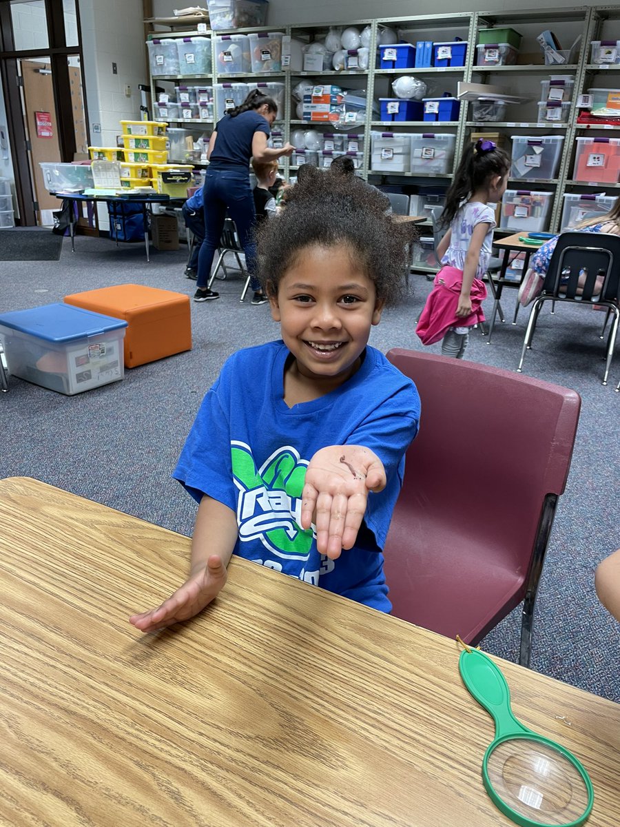 Ms_Murraysclass's tweet image. We had so much fun exploring and learning about worms in the Steam Lab! We are so excited to see how they change over the next two weeks! 🪱 @PotowmackES