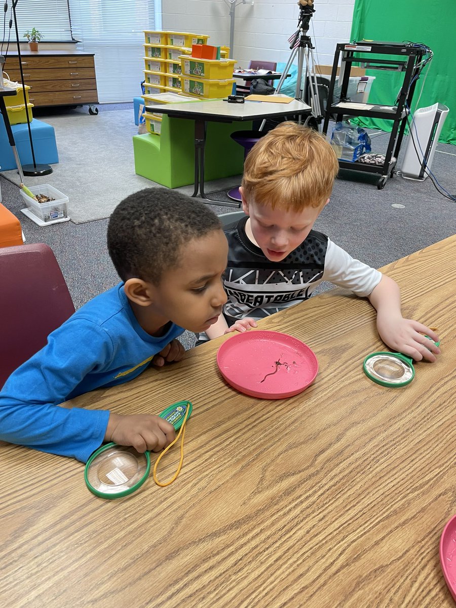 Ms_Murraysclass's tweet image. We had so much fun exploring and learning about worms in the Steam Lab! We are so excited to see how they change over the next two weeks! 🪱 @PotowmackES