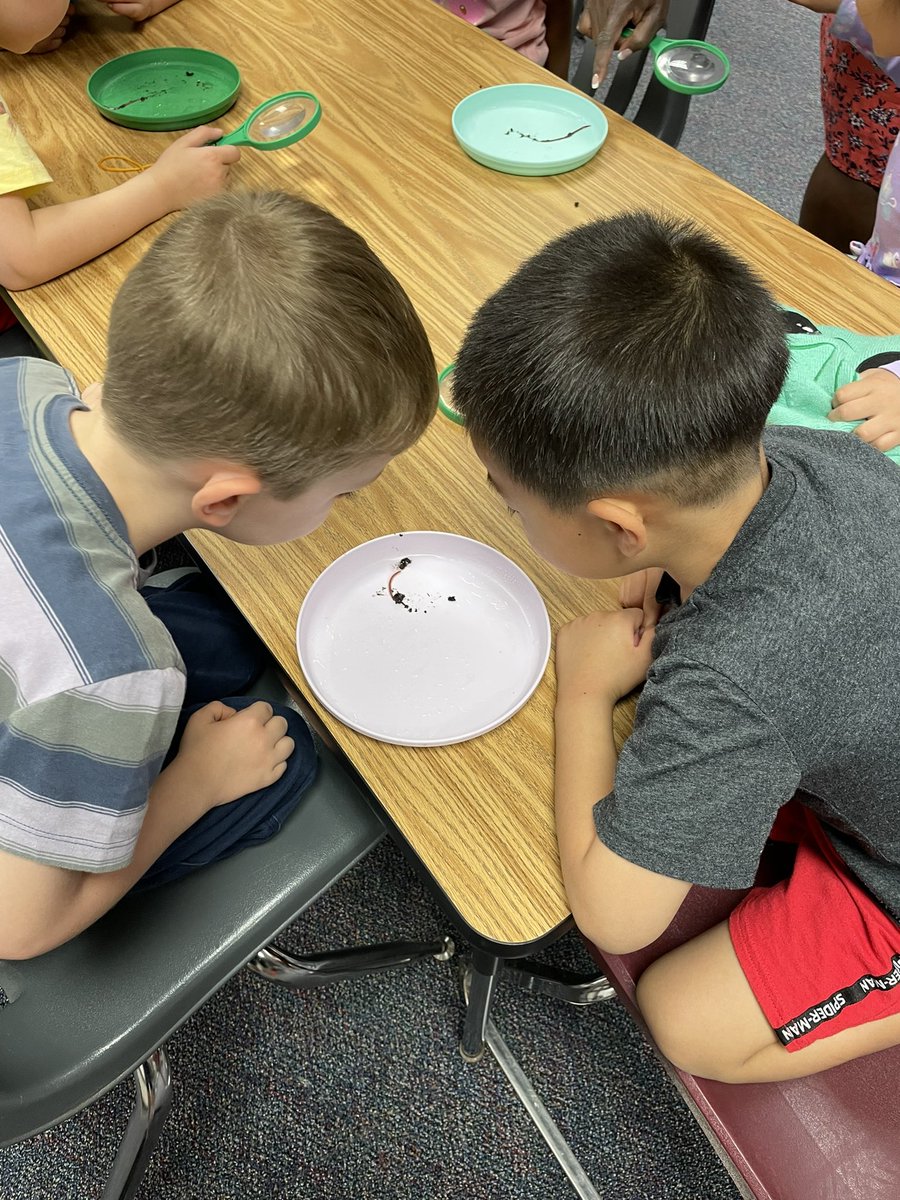 Ms_Murraysclass's tweet image. We had so much fun exploring and learning about worms in the Steam Lab! We are so excited to see how they change over the next two weeks! 🪱 @PotowmackES