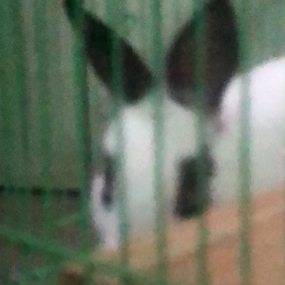 lebi12212's tweet photo. #NewProfilePic (新個人資料照片) https://t.co/9pMQ4ZXsNm