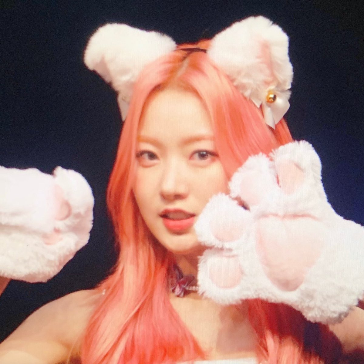 youibun's tweet photo. 냥냥 🐈

#DreamNote #ドリームノート #드림노트 #YOUI #ユアイ #유아이 ♡ https://t.co/5kXTpdjuSY