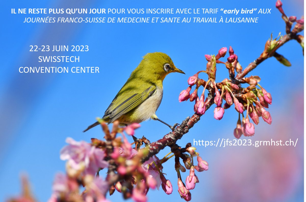 MichelGuillemin's tweet photo. Les journées franco-suisses de  médecine et santé au travail s'approchent rapidement et le tarif d'inscription préférentiel "early bird" se termine demain. Dépêchez-vous ! https://t.co/MNfF7FkN6E https://t.co/uQkPOXDLxn
