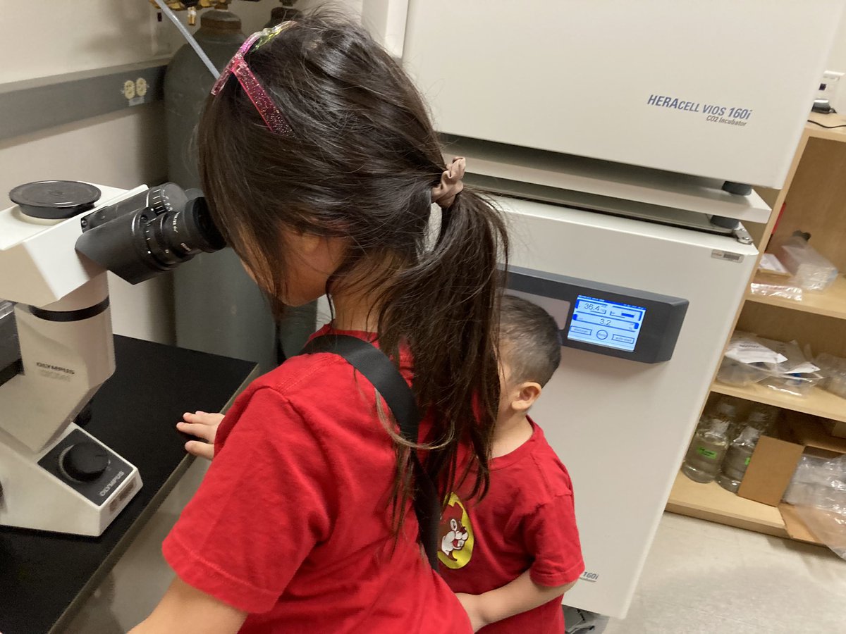 Komatsu lab tweet media