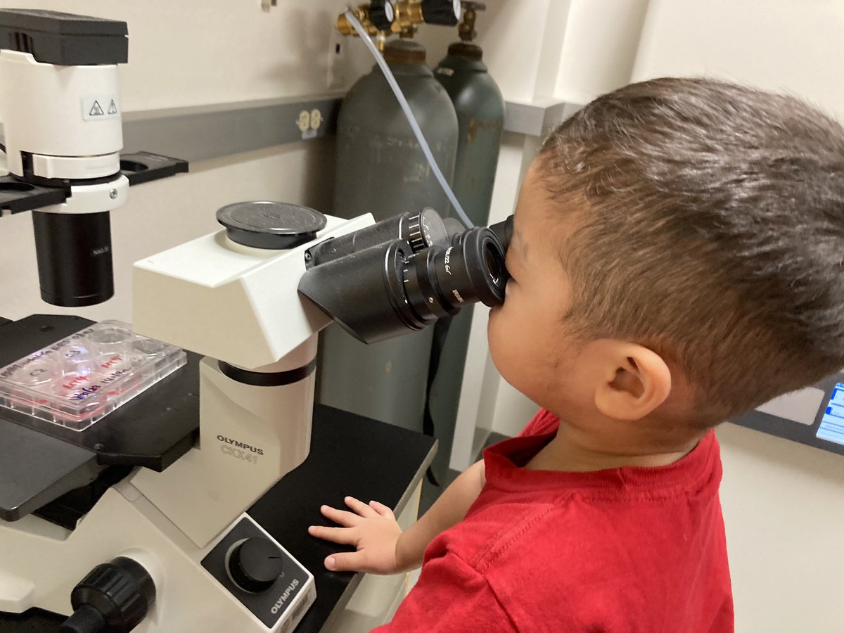 Komatsu lab tweet media