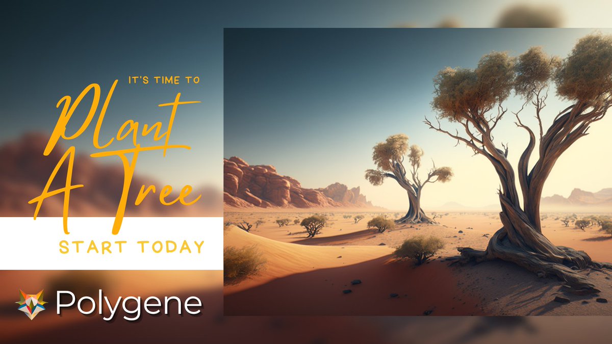 Polygene Trivia: Did you know? Polygene plants a real tree for every virtual tree you plant on the platform!
<a href="/PATT_Foundation/">Plant a Tree Today</a>

Make a difference with each click. 🌳🌱 #Polygene #GreenInitiative #GoGreen