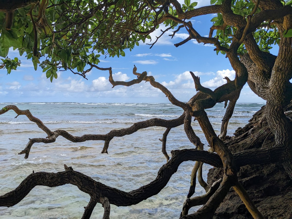 I've started working through "The Artist's Way" by Julia Cameron. I love it! Here's a shot from my first "artist date," a 2-hour walk along the beach with time to meditate in the shadows of a sea cliff. #WritingCommunity #writerslife