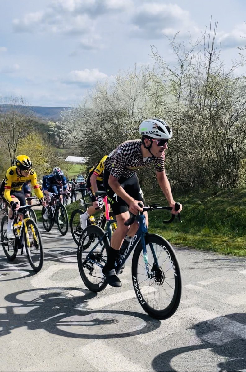 alistair rees tweet media