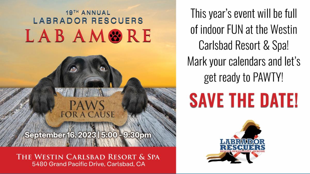 LabRescuersSD's tweet image. conta.cc/43CDdzq