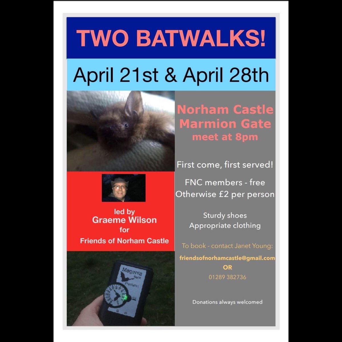 GWEcology's tweet photo. Really looking forward to leading these bat walks over the next two weeks. Norham Castle is a fantastic location for bats. Full details including when, cost & booking are in photo.
#bats #batwalk #batevent #norhamcastle #norham #wildlife #nature
@_BCT_ @Mammal_Society https://t.co/bgWhoEi4K7