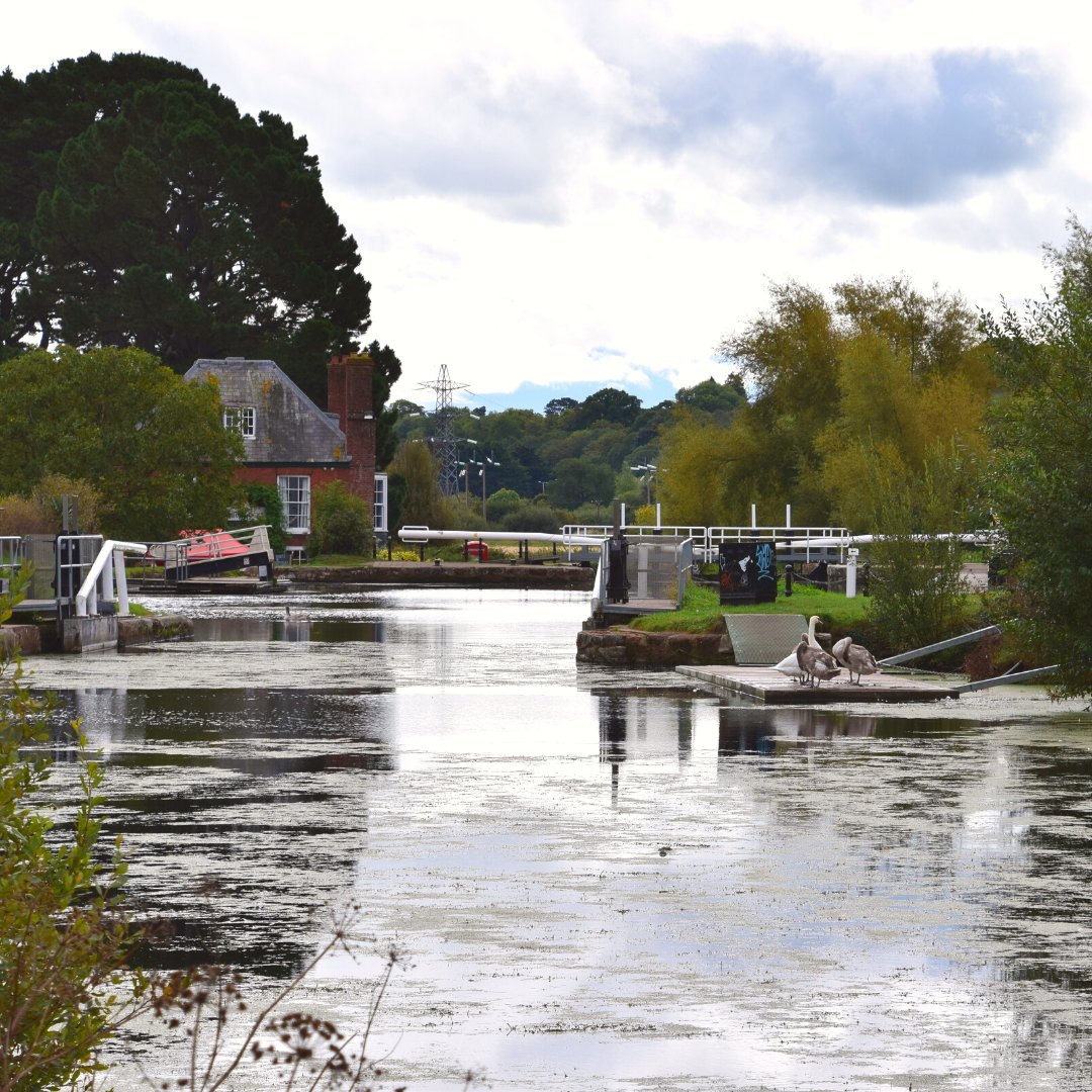 Hospiscare's tweet photo. A peaceful afternoon at @DoublelocksPub Exeter. The starting point of our fantastic Men's Walk last month!
Weβre so proud to deliver our specialist end-of-life care for people and their families across Exeter, Mid and East Devon.
#doublelocks #pub #riverside #exeter #devon https://t.co/z3i2ISZIbs
