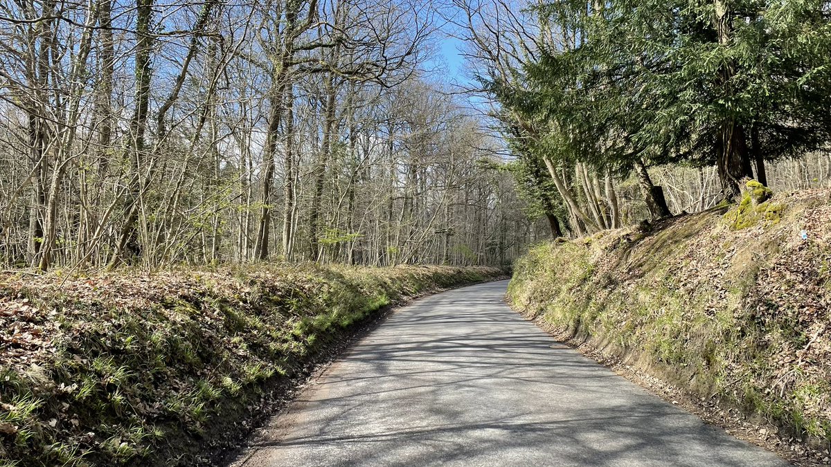 amitp82's tweet photo. A lovely run with a mixture of #trail and #road. 
#herefordshire #fownhope #woolhope #haughwoods #running https://t.co/UzEKSKnqNK