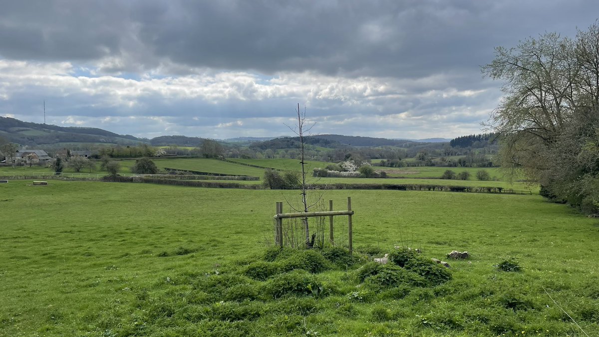 amitp82's tweet photo. A lovely run with a mixture of #trail and #road. 
#herefordshire #fownhope #woolhope #haughwoods #running https://t.co/UzEKSKnqNK