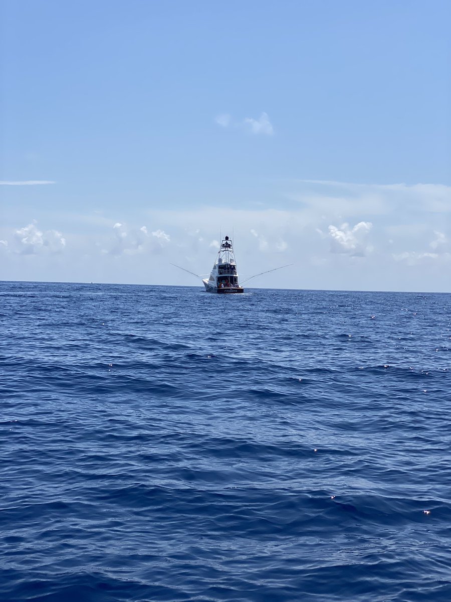 Team Rising Sons just boated a blackfin tuna officially getting the skunk off the boat! #FritosTheCatch <a href="/TheSFC_official/">Sport Fishing Championship (SFC)</a> <a href="/PatSurtainll/">Patrick Surtain</a>