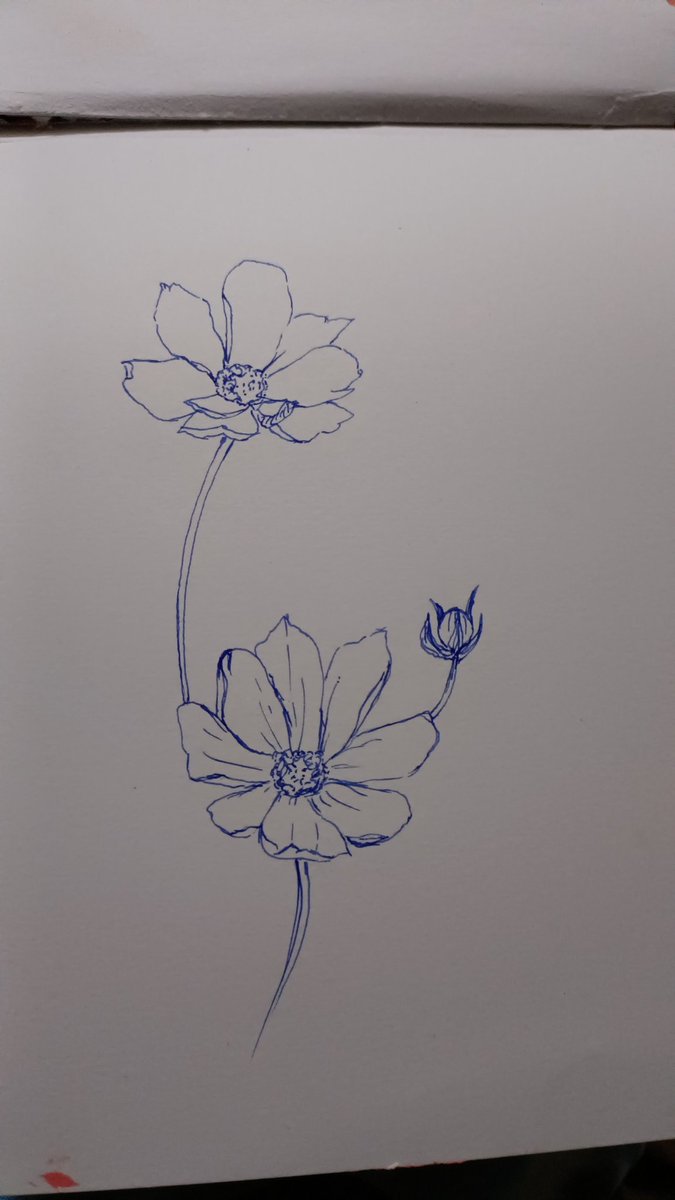 khushidose's tweet photo. bloom different 
#art #painting https://t.co/oCOJC1iAhi