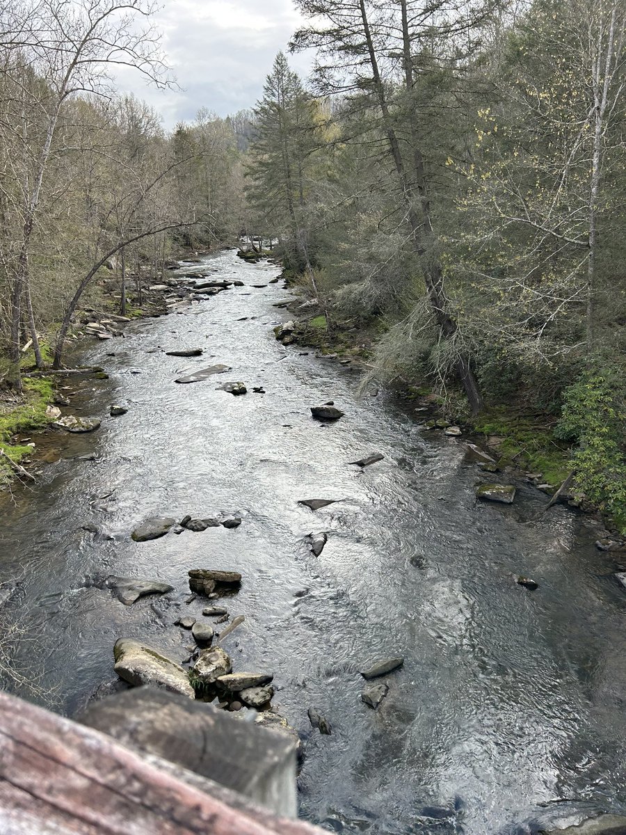 Keren Dongo tweet media