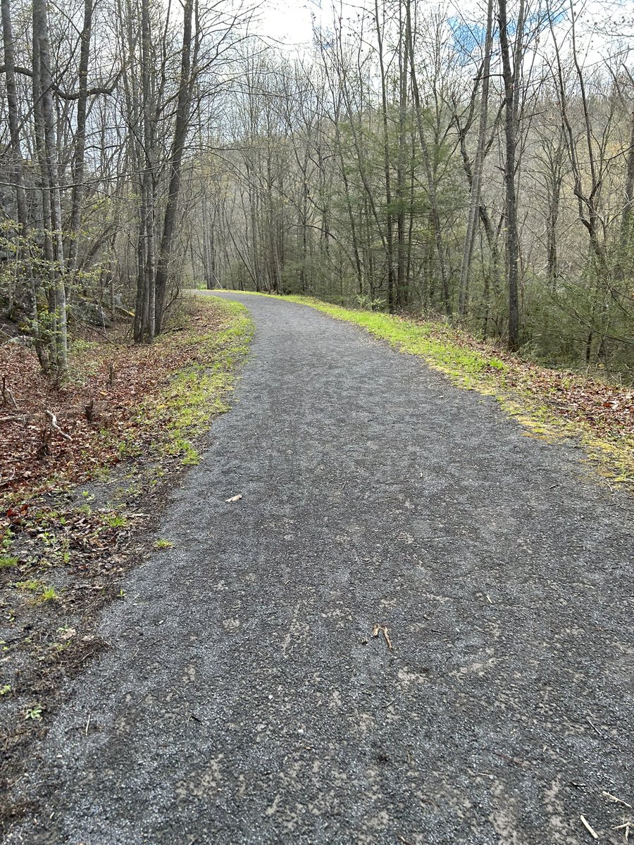 Keren Dongo tweet media