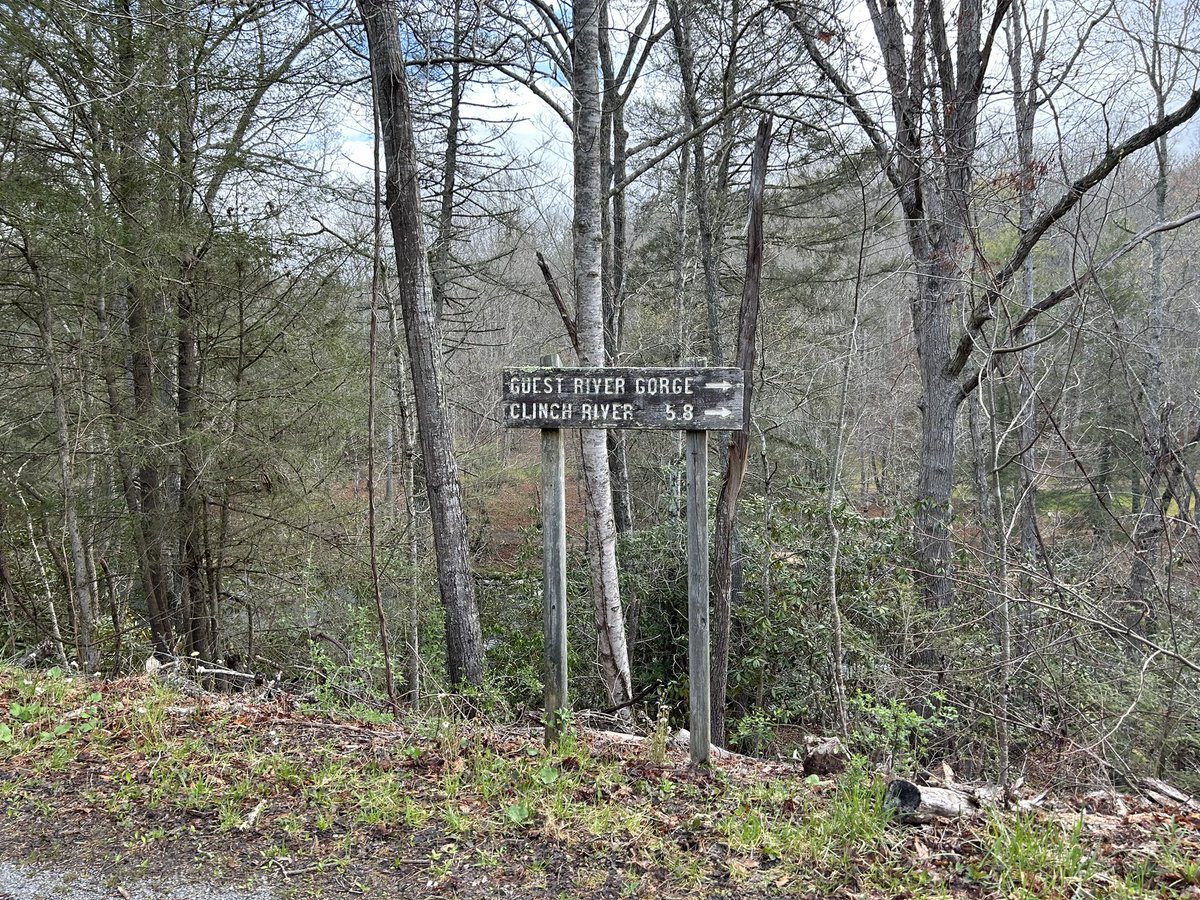 Keren Dongo tweet media